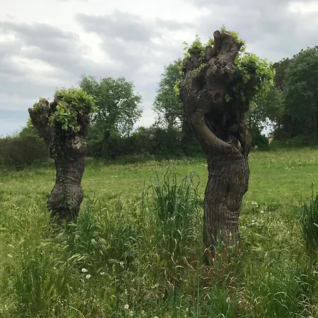 Le Ortensie Di Garda 3*