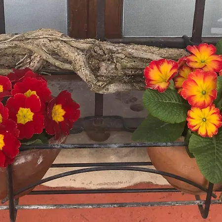 Le Ortensie Di Garda 3*