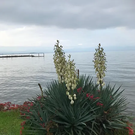 Le Ortensie Di Garda Apartahotel Monzambano