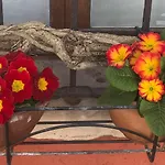 Le Ortensie Di Garda 3*