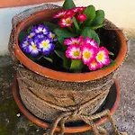 شقة فندقية Le Ortensie Di Garda مونزامبانو