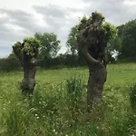 Le Ortensie Di Garda 3*