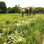 Le Ortensie Di Garda مونزامبانو