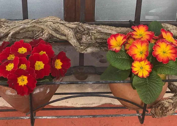 Le Ortensie Di Garda 3*