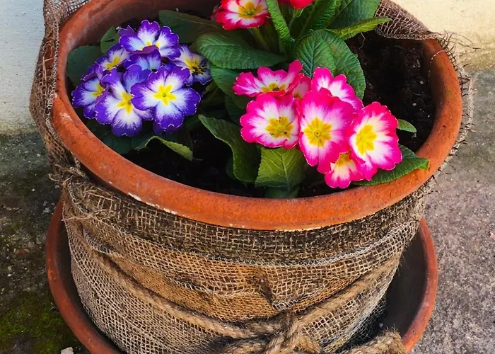Lejlighedshotel Le Ortensie Di Garda Monzambano